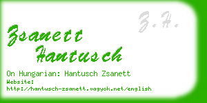 zsanett hantusch business card